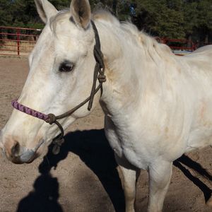 Meet your Posher, Lynn